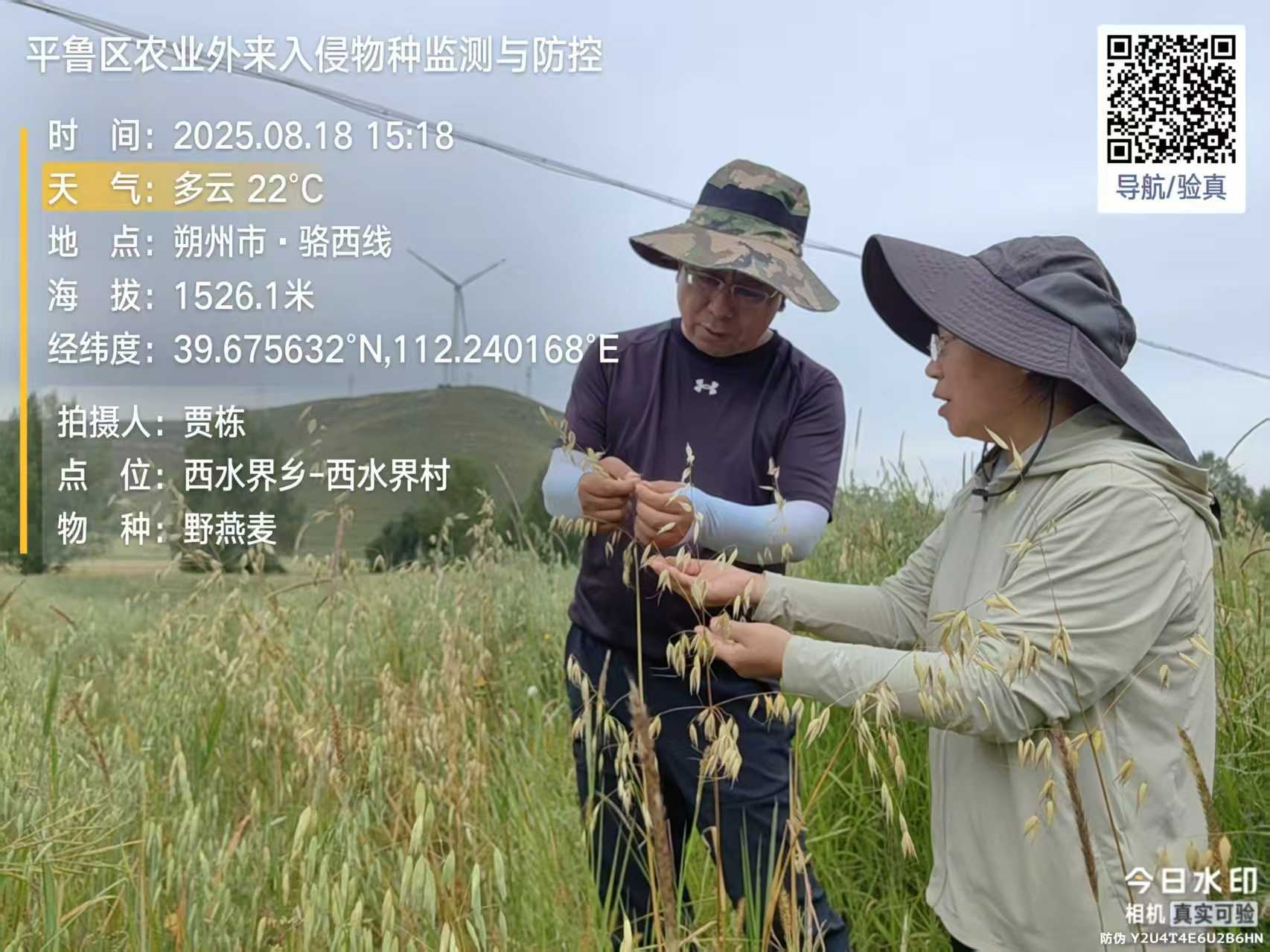 图片1.png1024.png